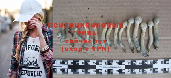 прущая мука Алзамай