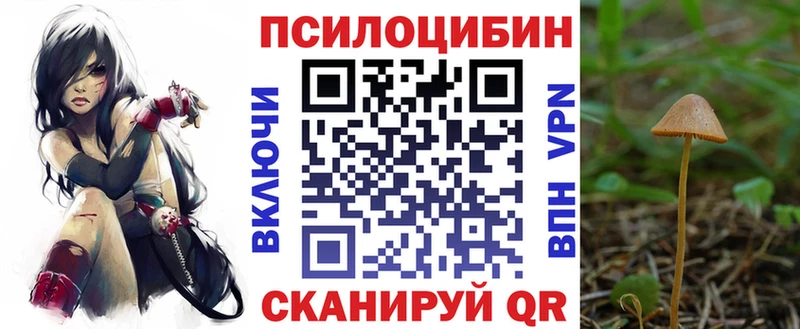 Псилоцибиновые грибы GOLDEN TEACHER Ахтубинск